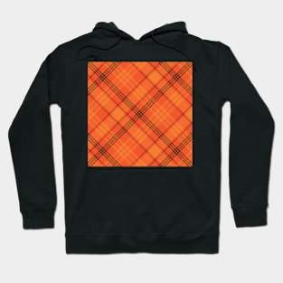 Plaid Pattern Hoodie